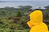 Grøn resept frå Sveio turlag hausten 2021