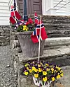 @sigrunsalamonsen#17mai #gratulerermeddagen #norge #vestavindsveio #sveio fint pyntet på kirketrappa