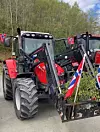 Bjørkeris og flagg høyrer med på nasjonaldagen.