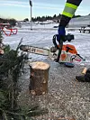 Mariusz Buryj i Sveio kommune ordna opp med motorsaga.